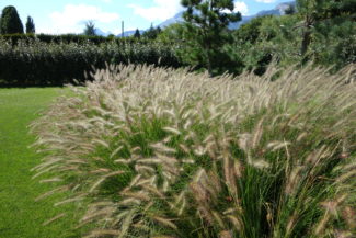 Inspirations jardin moderne Nicollier