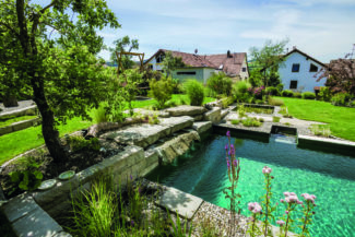 Inspirations piscine naturelle Nicollier