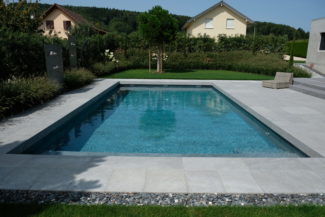 inspirations piscine skimmer nicolier