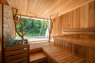 Inspirations sauna à thème panoramique Nicollier avec arbre