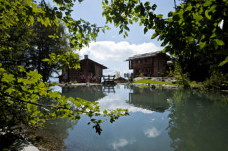 Inspirations bassin et etang Nicollier