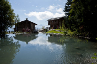 Inspirations jardin alpin Nicollier