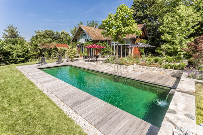 Guide pour faire une piscine naturelle chez soi