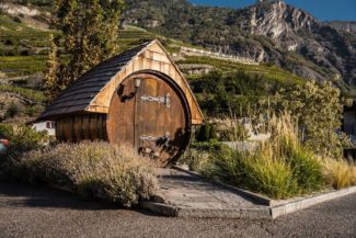 Rénovation d'un massif existant jardin méditerranéen ambiance paysage Nicollier