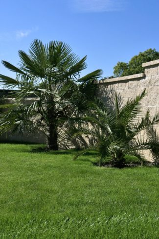 Un jardin aux senteurs méditerranéennes ambiance sud Nicollier